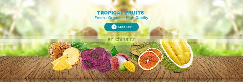 Natural Fruit AD Drying Process Sliced Original Flavor Bulk Dehydrated Soft Dried Mango For Snack Dessert