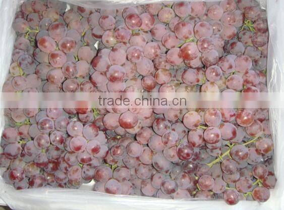 Chinese fresh fruits grape yunnan red grapes