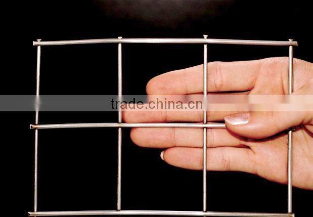 welded wire mesh 50x50