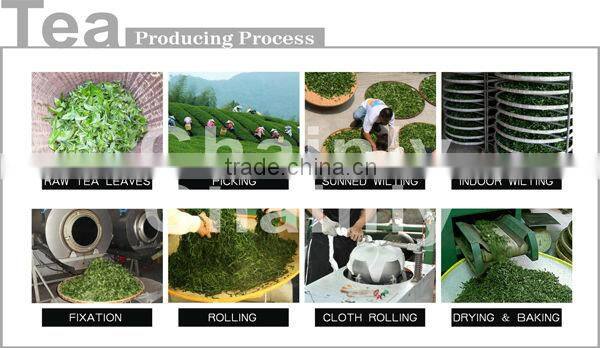 Bubble Tea beverage product type tea types of tea bag oolong tea