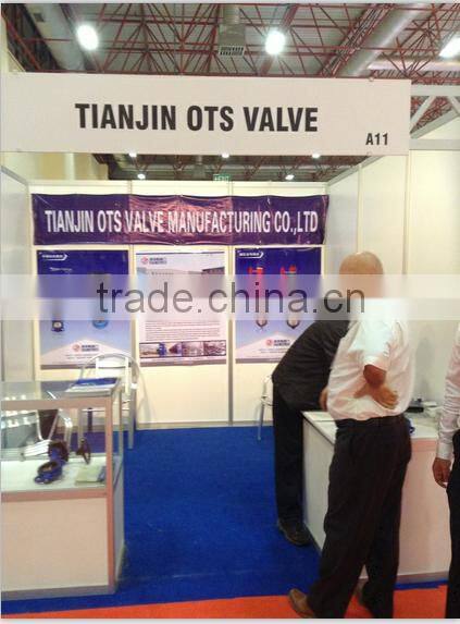 Stainless Steel Manual Knife Gate Valve Flanged