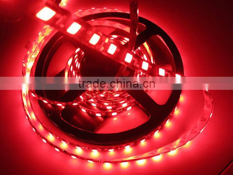 Alibaba China new product double row led strip