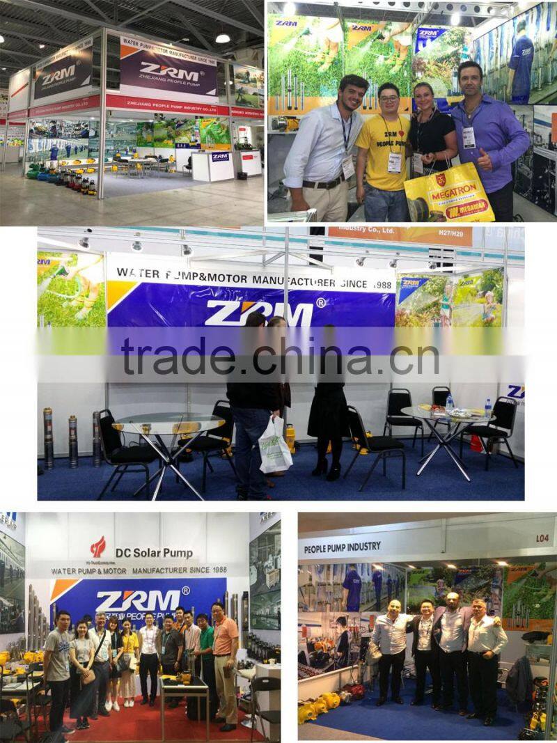 YCL series single-phase dc brushless electric motor