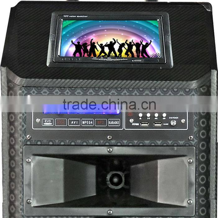 2014 most popular dual 12 inch big power speaker with dvd