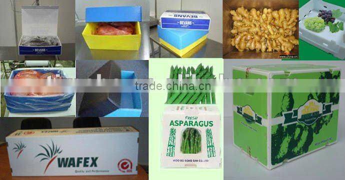 Fresh plastic corflute packaging fruit & vegetable box