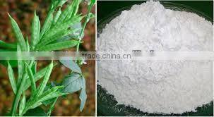 High Quality Guar Gum Powder From India