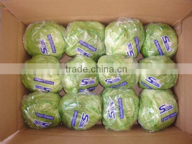 green lettuce for cooking