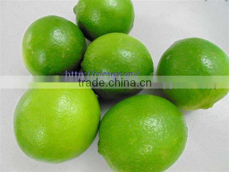 fresh lemon high quality seedless Gimex 2015