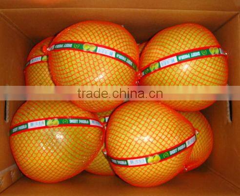Citrus Fruits New Crop Wholesale Prices of Pomelo