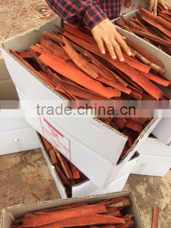 Vietnam Cassia split - Broken Cassia - Skype : Visimex03