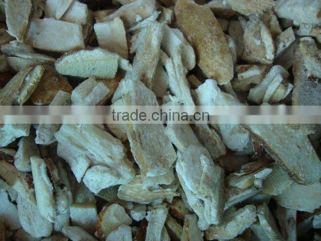 Chinese cut boletus edulis