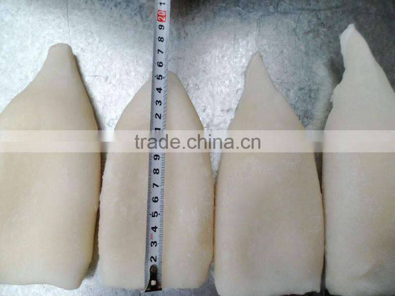 IQF squid tube Todarodes Pacificus