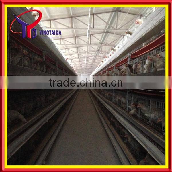 High quality design layer chicken cages for Kenya poultry farm ( full poultry equipment)