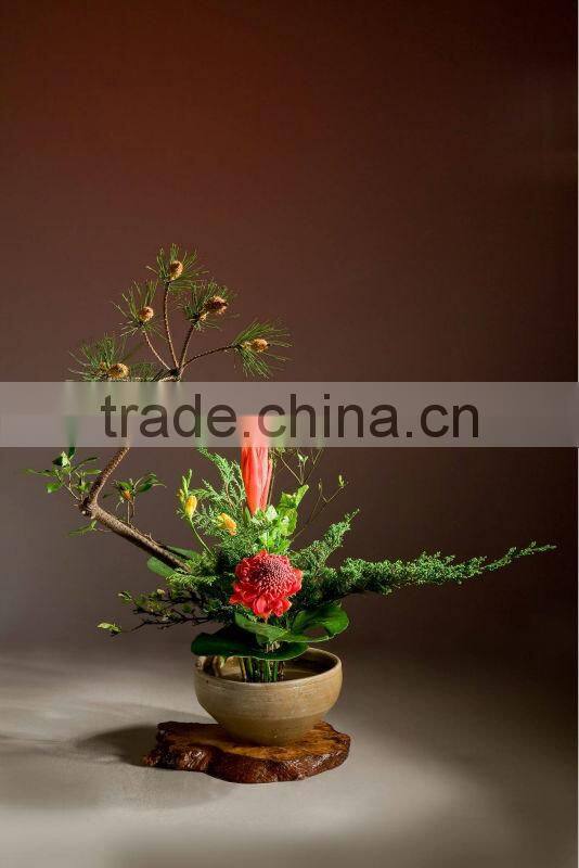 Connected Pin Frog, Kenzan / Pin Holder