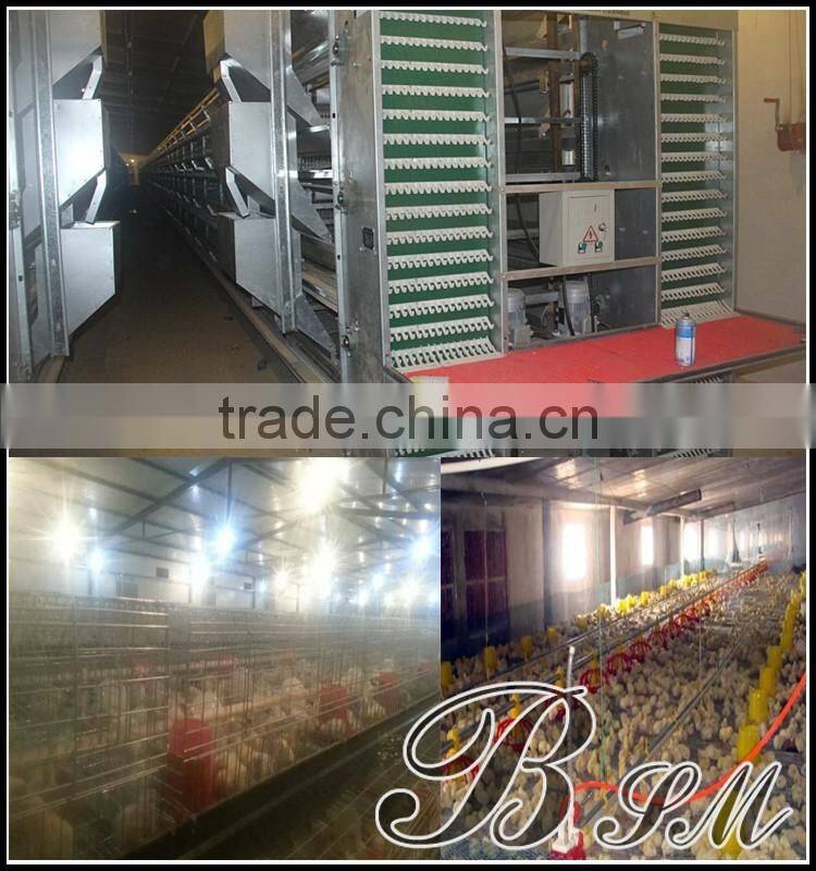 Auto feeding system for chicken / poultry feeder system for chicken / automatic feeding system and drinking system