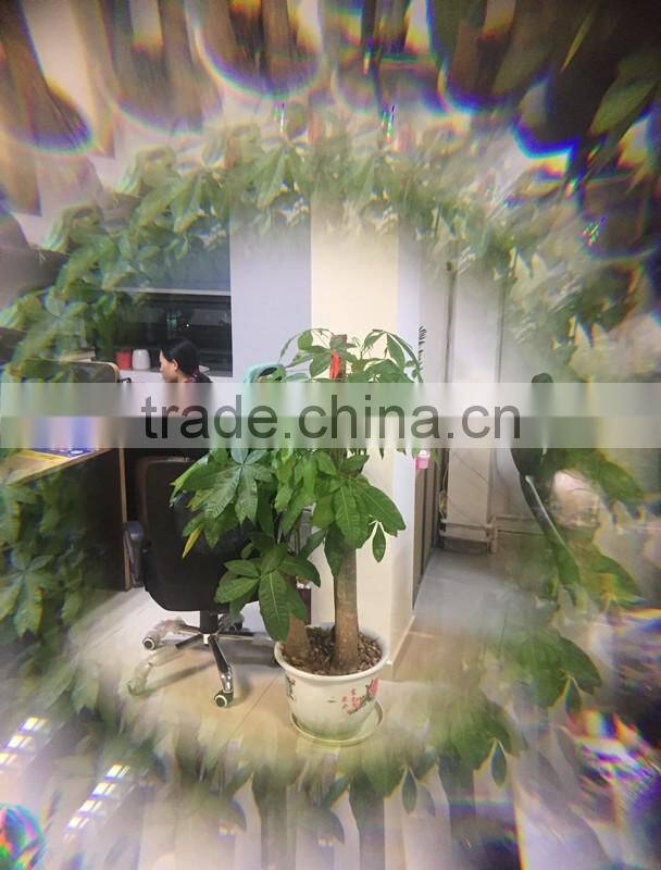 Wholesale Price High Quality 3 in 1 Camera Lens 180 Degree Fisheye Lens for All Smart Phone