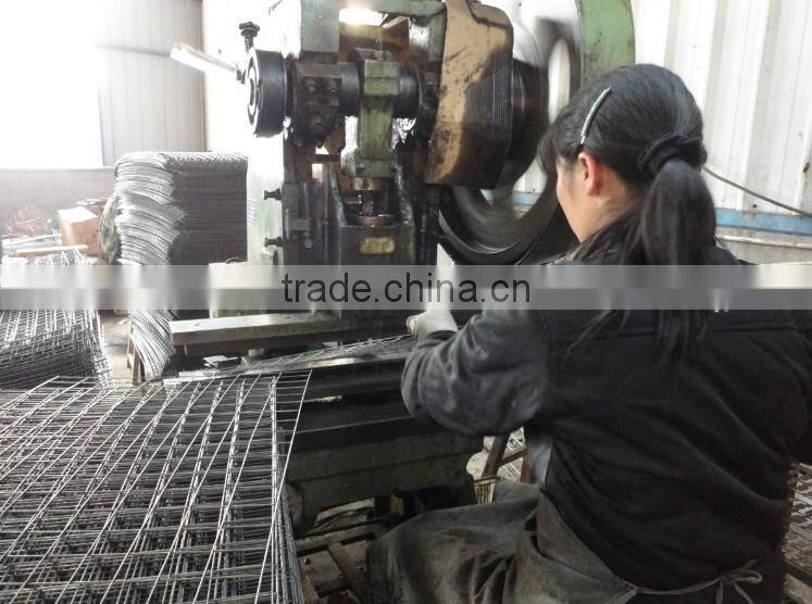 Large Walk-In Greenhouse