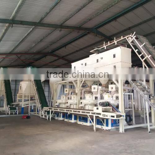 best selling biomass wood ring die pellet making /press machine /mill