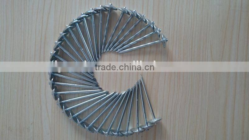 Hot sales! China factory supply high quality galvanized umbrella head roofing nails