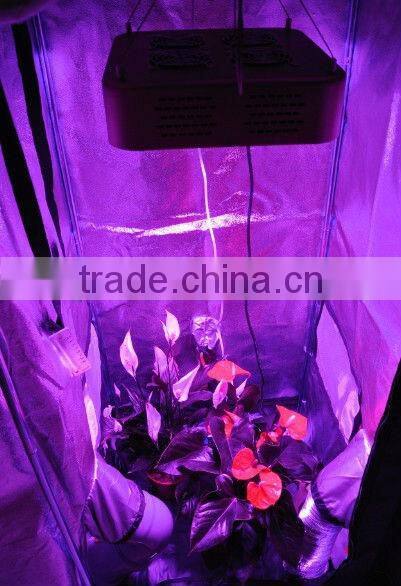 300W LED Grow Light Full Spectrum UV IR for Indoor Hydroponic Plants Veg and Bloom