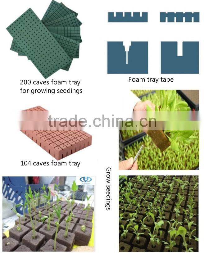 Green wet floral foam for Christmas decoration
