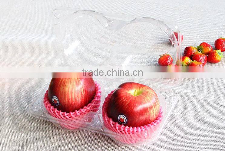transparent PET vacuum formed plastic food/fruit tray