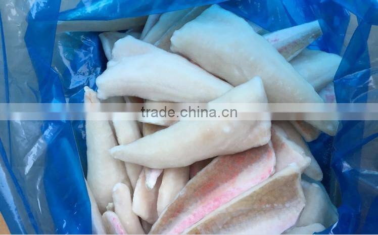 Frozen red gurnard fillets 60-100g Lepidotrigla microptera