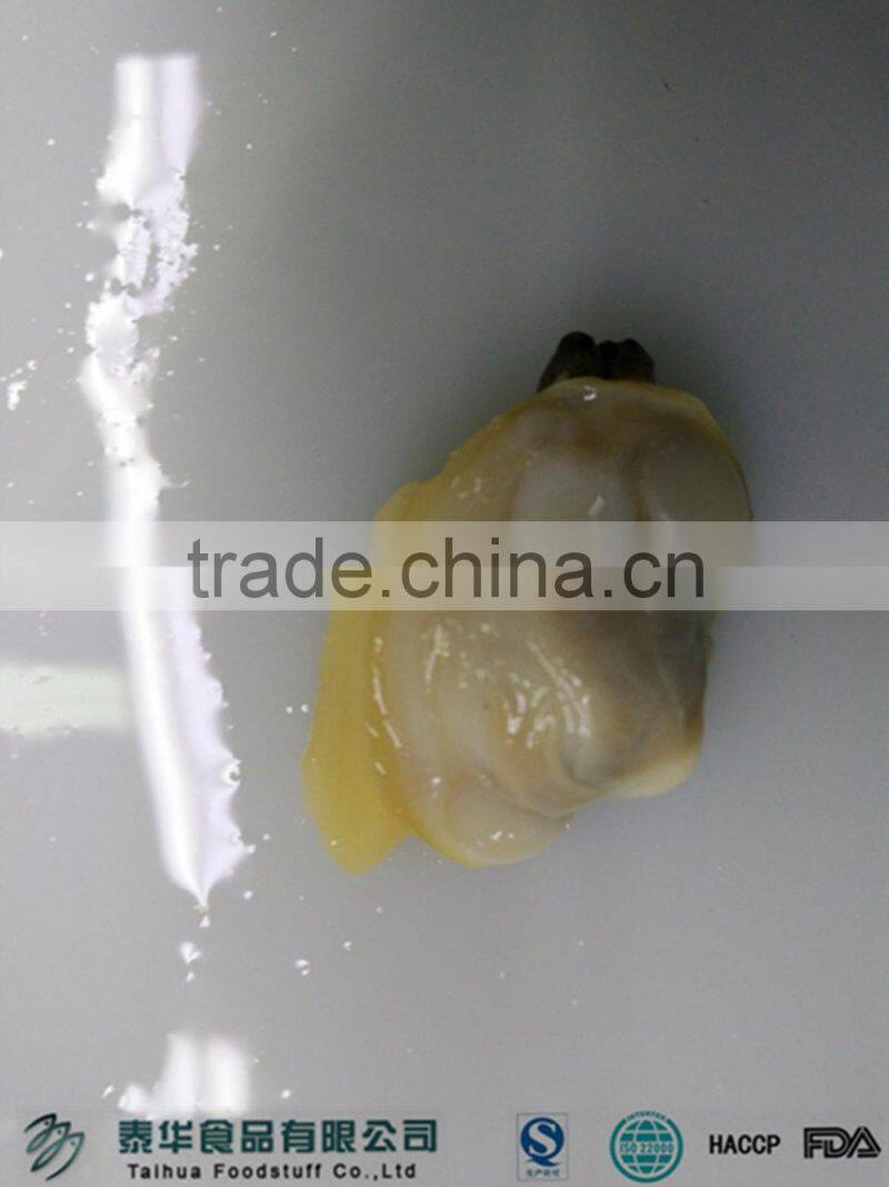 IQF cooked baby clam meat without shell for export