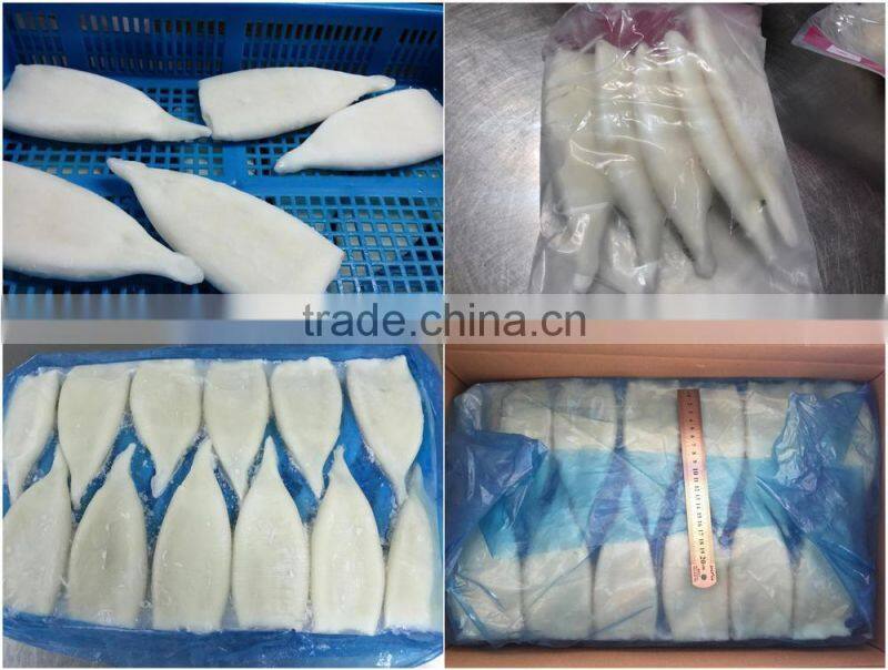 Hot sales iqf Pacific squid tube