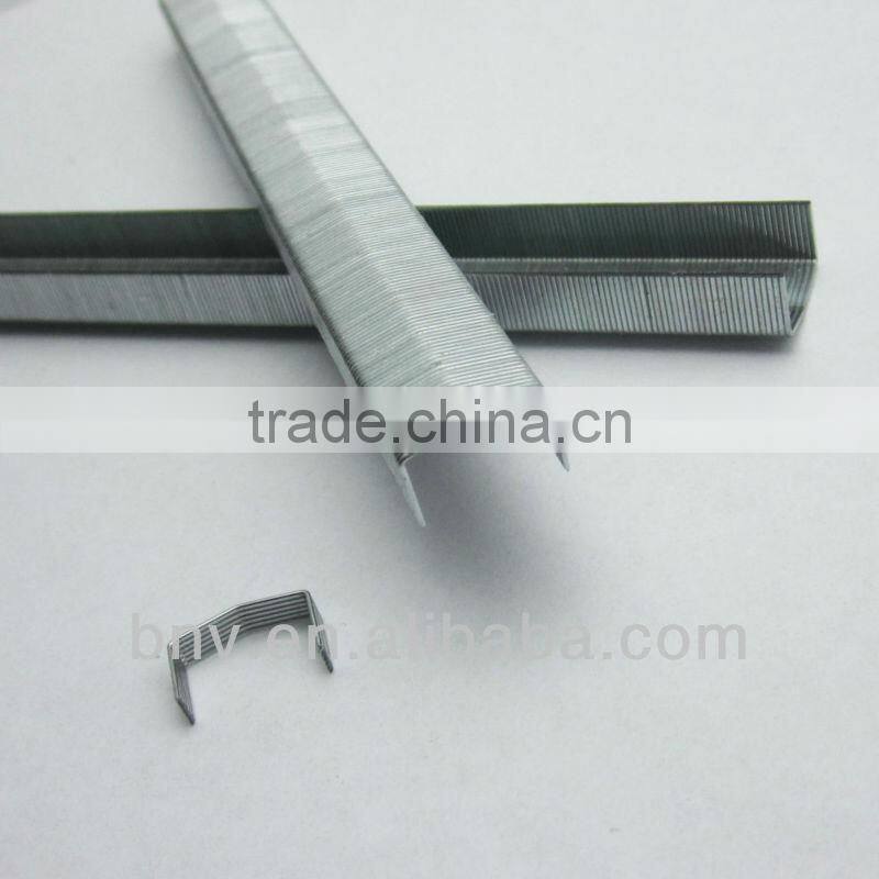 Silver color galvanized powercrown 1/4 inch B8 staples