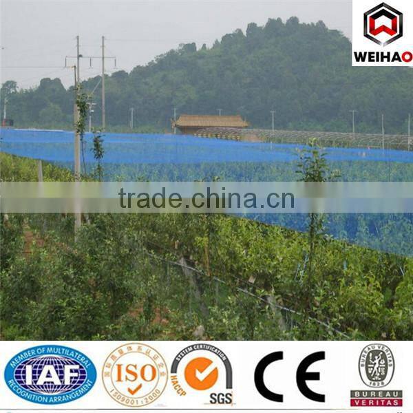Factory Anti-bird mesh/plastic net