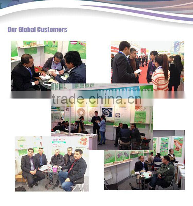 magnum and popsicle stick wood ice cream stick