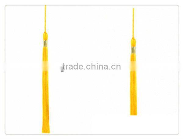 Graduation Tassel 2016