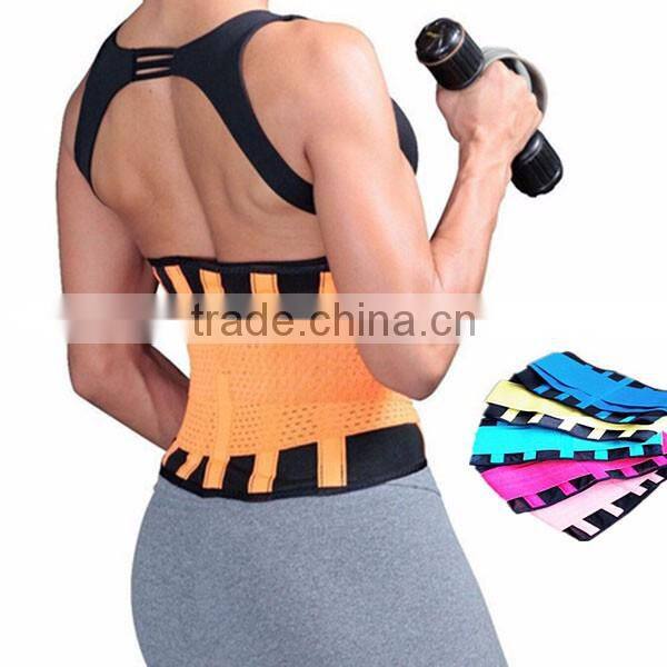 Shuoyang OEM Accepted Factory price back support/back support belt/support back belt