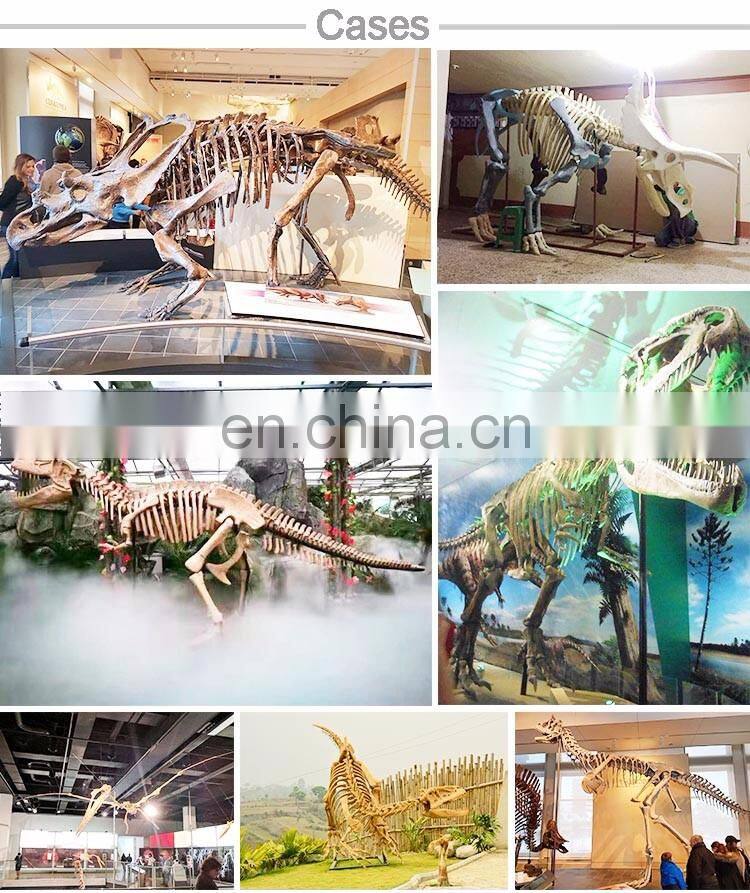 Life size dinosaur skeleton model for sale
