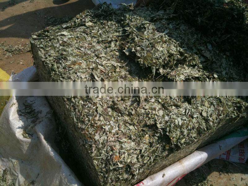 2014 fresh and dried Mugwort leaf
