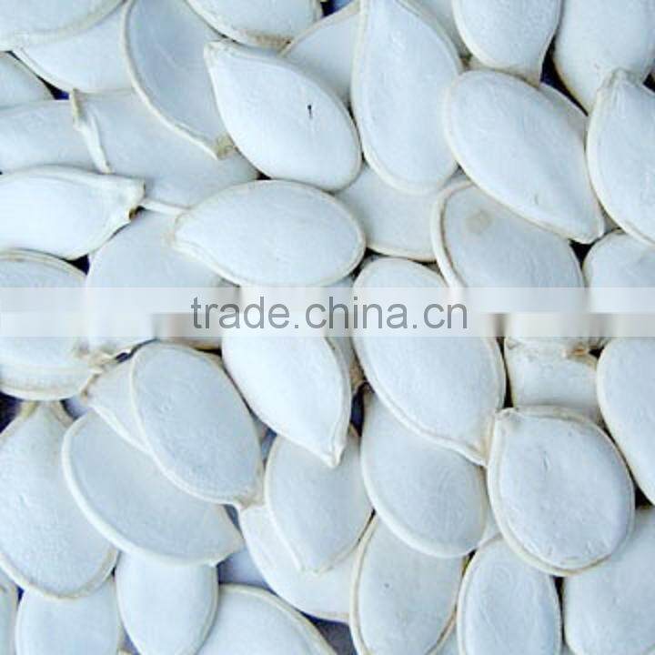 Organic Pumpkin kernel