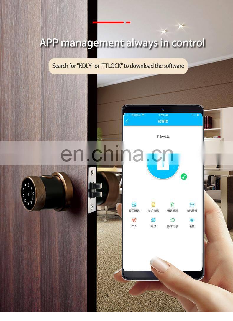 Front Door Keyless Entry Electronic Mortise Code Touchscreen App Unlock Cylinder Gate Door Lock For Office Rent House