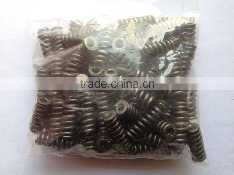 fuel injector spring 2434614020