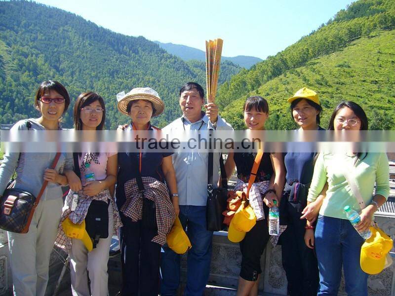 broadside round new bone china white glazed flower pattern decorated price competitive Hebei factory 20PCS dinnerware set