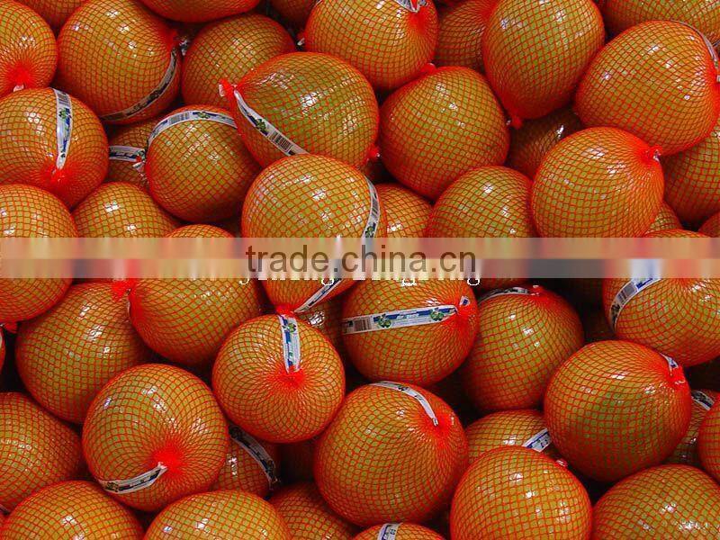 2015 new crop of the pomelo