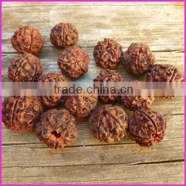 SB6323 Nepal Rudraksha Beads,Rudraksha Mala Beads,Natural Seed Prayer Beads