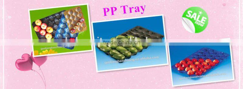 Different Type Food Grade Disposable Plastic EPE Foam Net