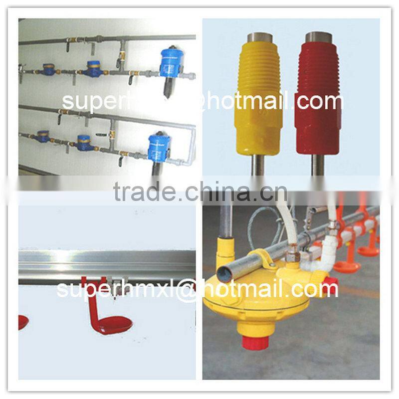 Full Set High Quality Automatic Poultry Farm Equipment for Broiler Poultry Farm House