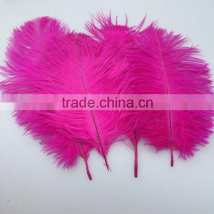 Dyed Ostric Feather, Feather ostric plumes for Carnival costumes