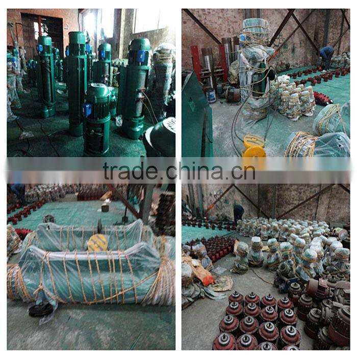 Wire Rope Electric Hoist Crane 2 Ton