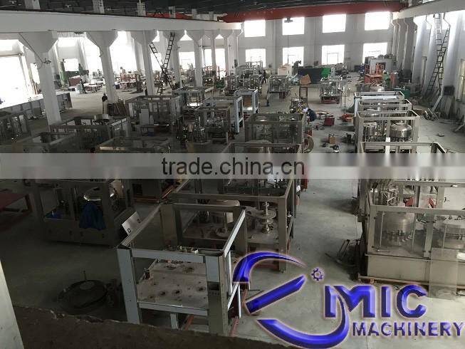 MIC-12-12-1 Top quality professional factory produce glass bottle twist off Cap juice bottle packing machine with CE