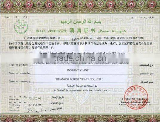 that dry yeast 500 gram instant dry Yeast