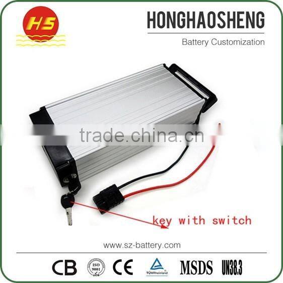 Portable Lithium Battery 48V 25AH Electric Bicycle 48V Lithium Battery with Samsung Cell