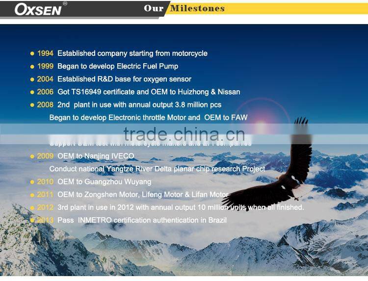 Fuel Pump Module Assembly OE:31110-02000 For HYUNDAI